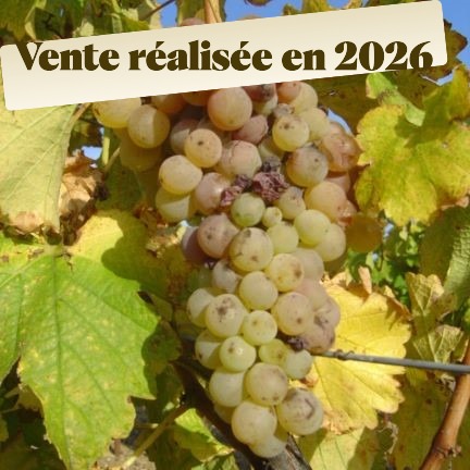 a_grappeblanc vendu