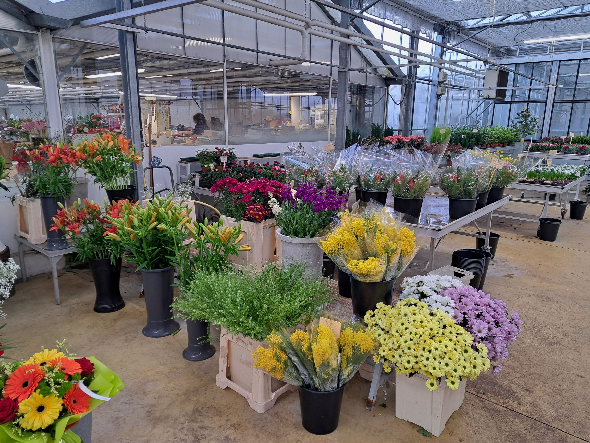fleurs